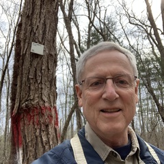 avatar image for Thomas Trainor