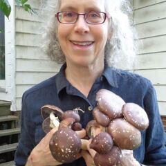 avatar image for Michele Morris-Friedman
