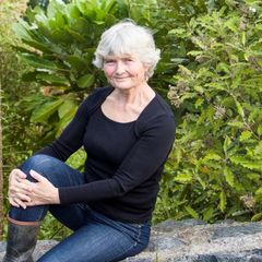 avatar image for Ann Neill