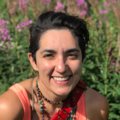 avatar image for Laila Amerman